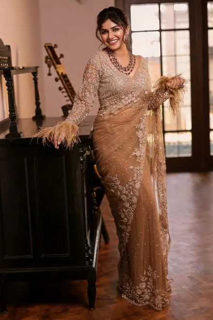 Beige Net Designer Saree with Embroidered Full Sleeve Blouse